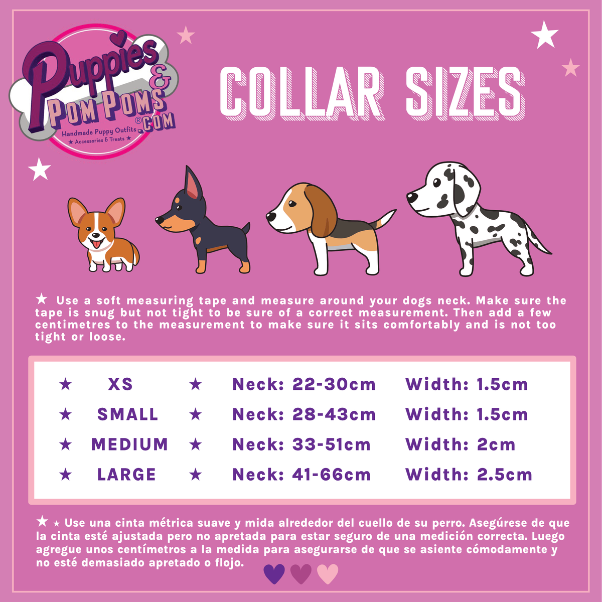 Collar - Summer Pawl Pawty
