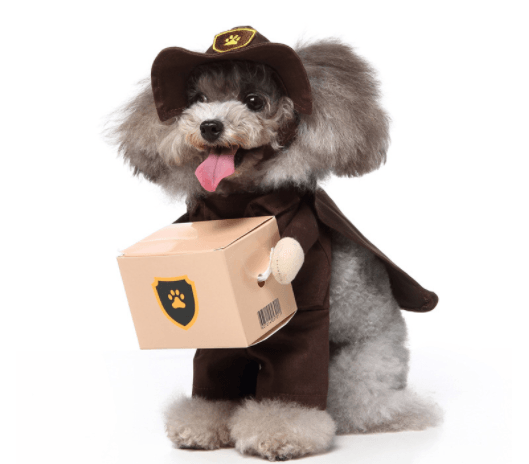 Funny Cosplay Pet Costume Set: Cute Cartoon Dog Outfit For Halloween And Christmas Dress-Up