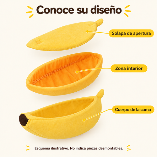 Ilustración explicativa de las partes visibles de la cama banana