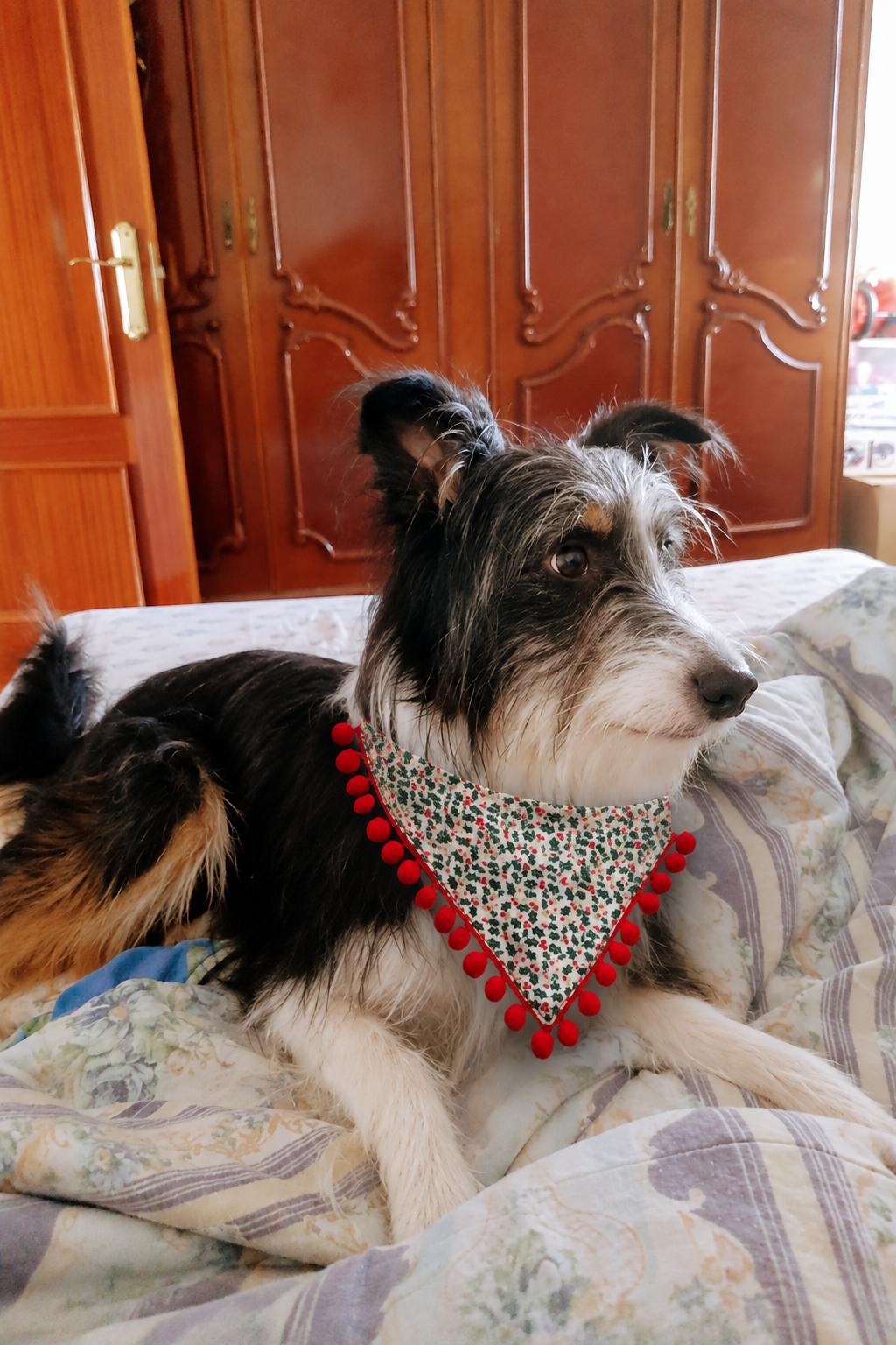 Perrita con la bandana navideña